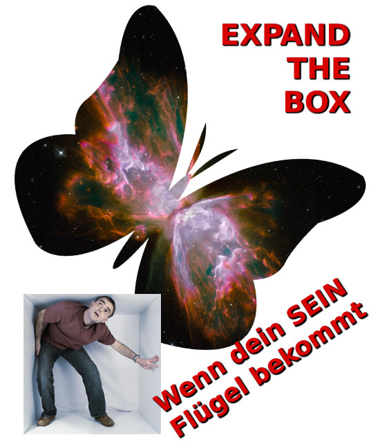Expand The Box: Wenn dein SEIN Flügel bekommt